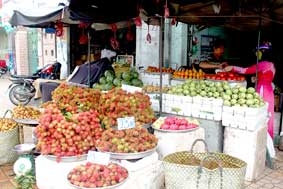 Giá heo hơi giảm