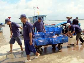 Để Cần Thơ trở thành trung tâm nghề cá của ĐBSCL