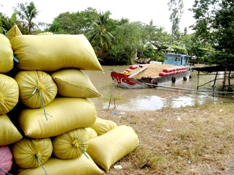 “Cò” lúa- Nhìn từ chuỗi giá trị 
sản xuất lúa gạo