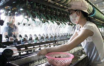 “Con đường tơ lụa” 
trên đèo Tà Nung