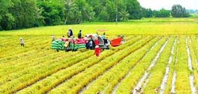 Trên 37 tỉ đồng hoàn thiện hệ thống thủy lợi