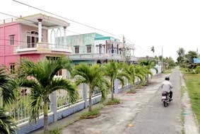 Chuyện  
“đồng chó ngáp” bây giờ