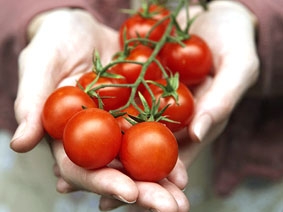 Cà chua giúp giảm nguy cơ đột quị