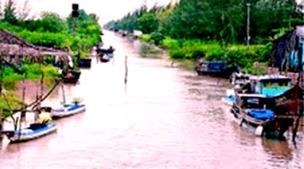 Làm chơi, ăn thiệt