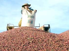 Chờ “kỳ tích” xuất khẩu của Việt Nam