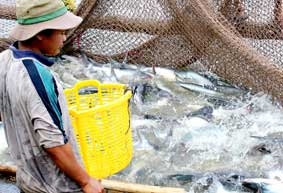 Cần cơ chế thông thoáng