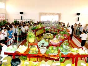 Khó nhân rộng mô hình 
nông nghiệp sạch...