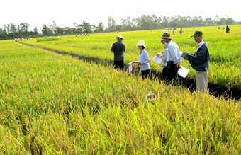 Khoa học công nghệ - Đòn bẩy phát triển nông nghiệp bền vững
