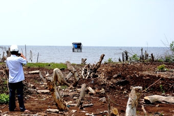 Lặng lẽ 
“bãi vàng” Khai Long