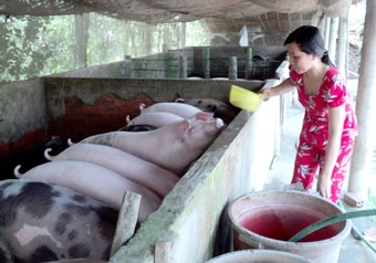 Vừa khó, vừa lo!