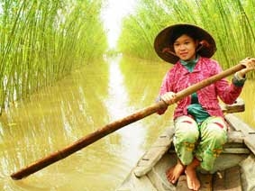 Mùa bông điên điển ở vùng đầu nguồn An Giang