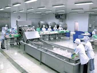 Đầu tư đồng bộ để ngành thủy sản 
phát triển bền vững