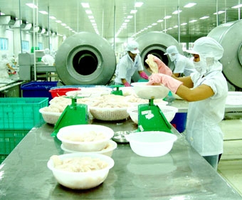 Xuất khẩu khó “cán đích” kế hoạch!