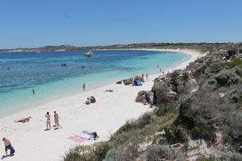 Đảo Rottnest- hoang sơ hấp dẫn