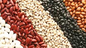 Thực phẩm họ đậu tốt cho tim và ổn định đường huyết