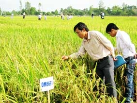 Đầu tư tương xứng cho nông nghiệp