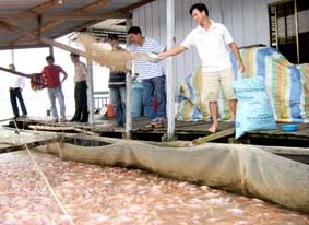 Hạ nguồn lo thiếu nước