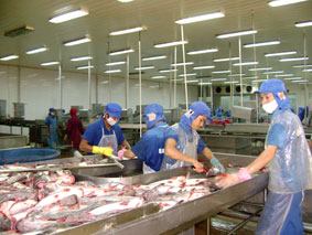 Cần đầu tư đúng mức cho
công nghiệp chế biến nông, thủy sản