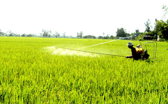 Nâng cao nhận thức sử dụng thuốc bảo vệ thực vật an toàn, hiệu quả