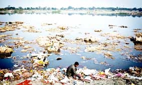 Dịch sốt xuất huyết 
lan nhanh tại Ấn Độ