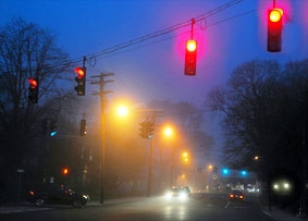 Đèn giao thông ảo 
lấy cảm hứng từ côn trùng