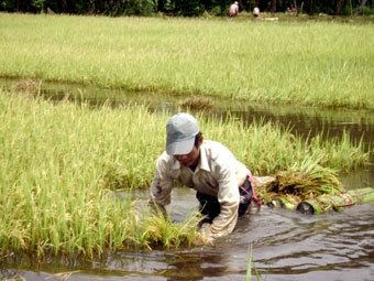 Kỳ tích và những yêu cầu cấp thiết