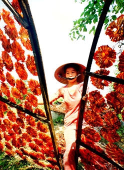 Giải pháp nâng cao chất lượng, 
an toàn thực phẩm đối với thủy sản khô