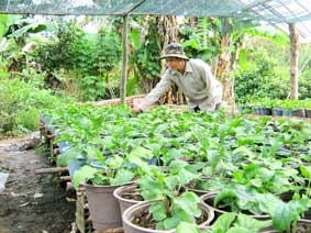 Hết lòng vì hợp tác xã