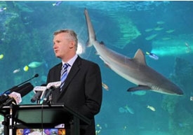 Úc ra mắt mạng lưới khu bảo tồn biển lớn nhất thế giới