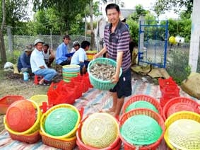 Con tôm thụt lùi!