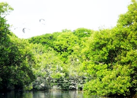 Sắp có khu Ramsar thứ 5 tại Việt Nam