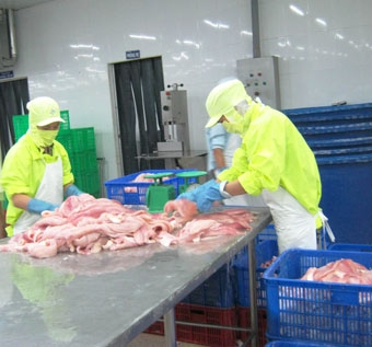 Dư nợ cho vay lĩnh vực thủy sản tăng, 
doanh nghiệp vẫn khó!