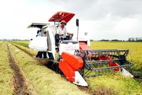 Nông dân và doanh nghiệp cần gì?