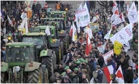 Nông dân châu Âu lại  biểu tình “máy kéo” vì giá sữa giảm