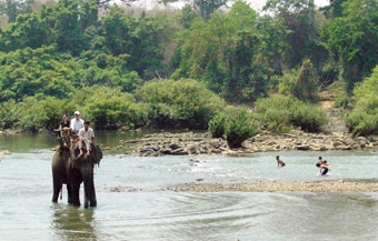 Cuối năm lên chơi Phố núi
