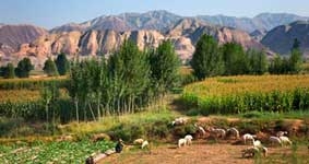 Những “Ngu Công thời hiện đại”
ở Lan Châu