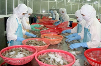 Đừng quá kỳ vọng 
vào sự đột biến của giá tôm