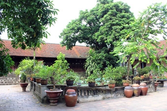 “Tôi nhớ xứ Đoài mây trắng lắm...”