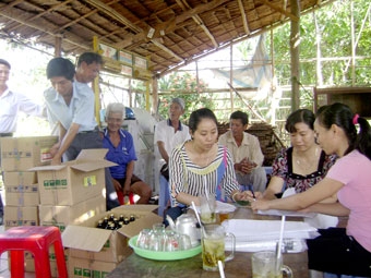 Nỗ lực phòng chống 
bệnh chổi rồng trên cây nhãn