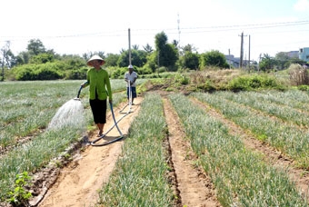 Nhanh chóng tìm cách gỡ khó