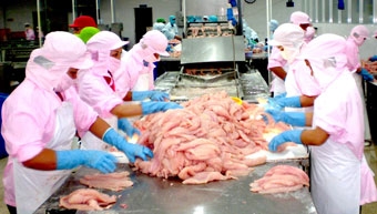 Việt Nam “về đích” 2012 với kỳ tích xuất siêu