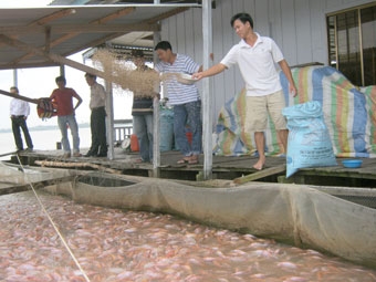 Để phát triển bền vững nguồn lợi thủy sản