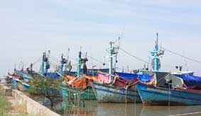 Bất cập khu neo đậu tàu cá