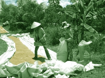 Nông nghiệp khẳng định vai trò trụ cột của nền kinh tế