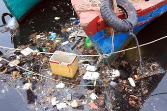 Lo ngại ô nhiễm môi trường biển