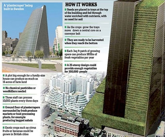 Cao ốc cây trồng  
kỷ nguyên mới của ngành nông nghiệp đô thị