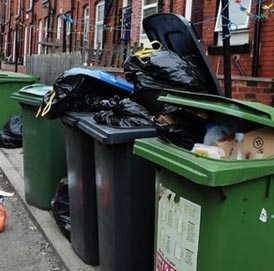 Thế giới lãng phí một nửa lương thực mỗi năm