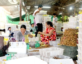 Giá nhãn tiêu 
da bò tăng