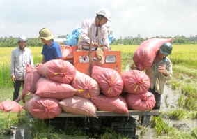 Còn nhiều băn khoăn...