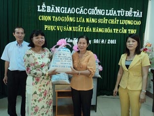 Tăng cường hợp tác sản xuất, cung ứng lúa giống